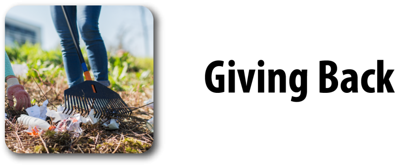 Grass (960x359), Png Download