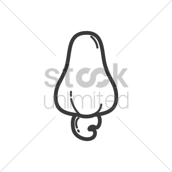 Cashew Clipart Cashew Fruit (600x600), Png Download