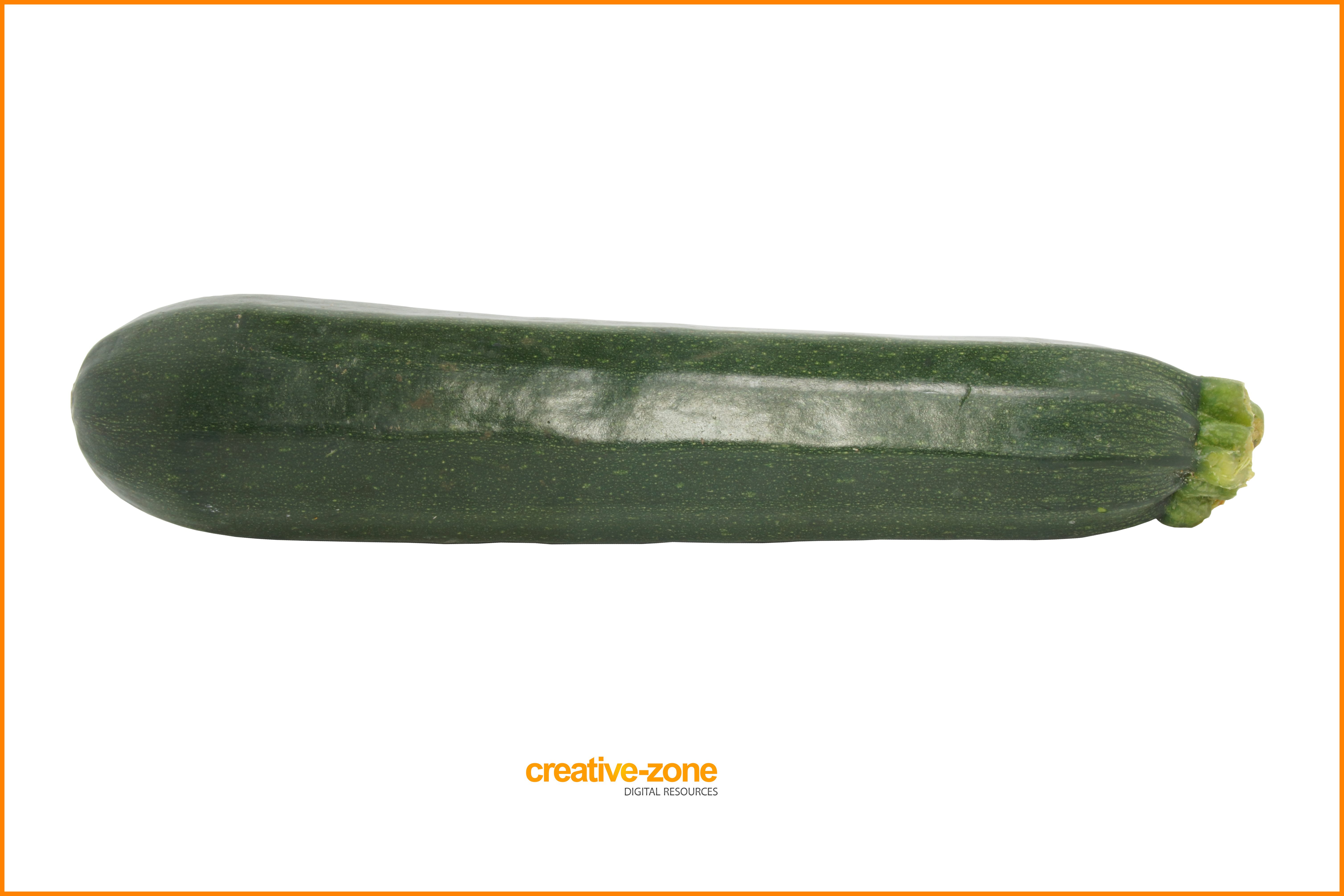 Zucchini Transparent - Zucchini (6030x4020), Png Download