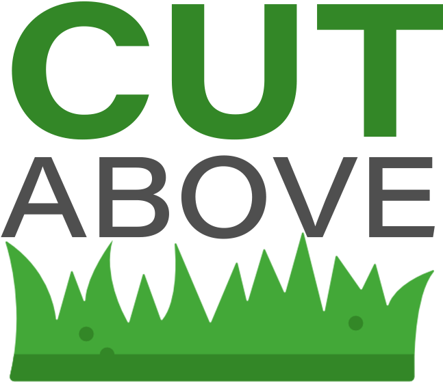 Copyright © 2019 Cut Above, All Rights Reserved - Graphic Design (731x626), Png Download
