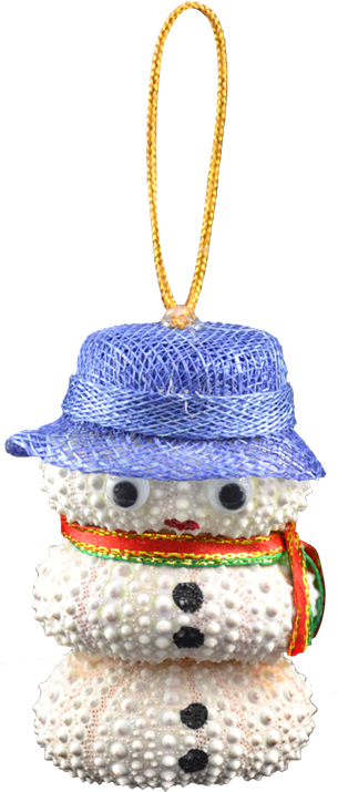 More Views - Christmas Ornament (1100x1100), Png Download