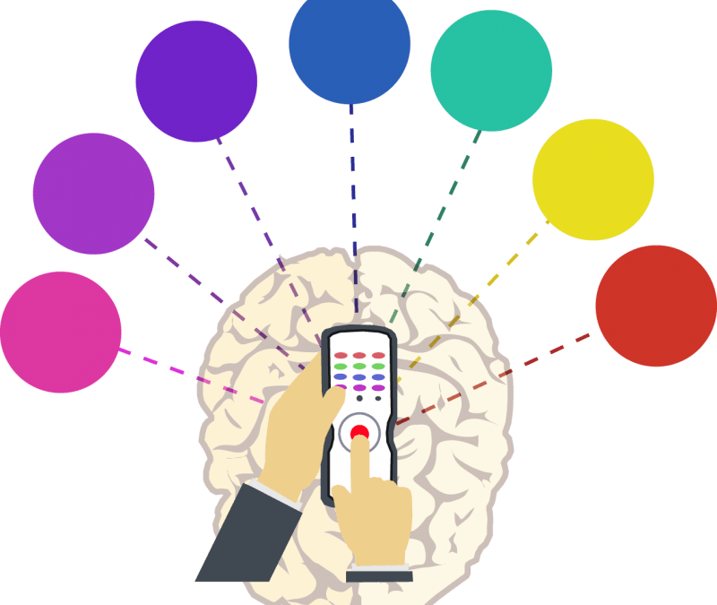 Emotions Clipart Emotional Control - Circle (800x675), Png Download