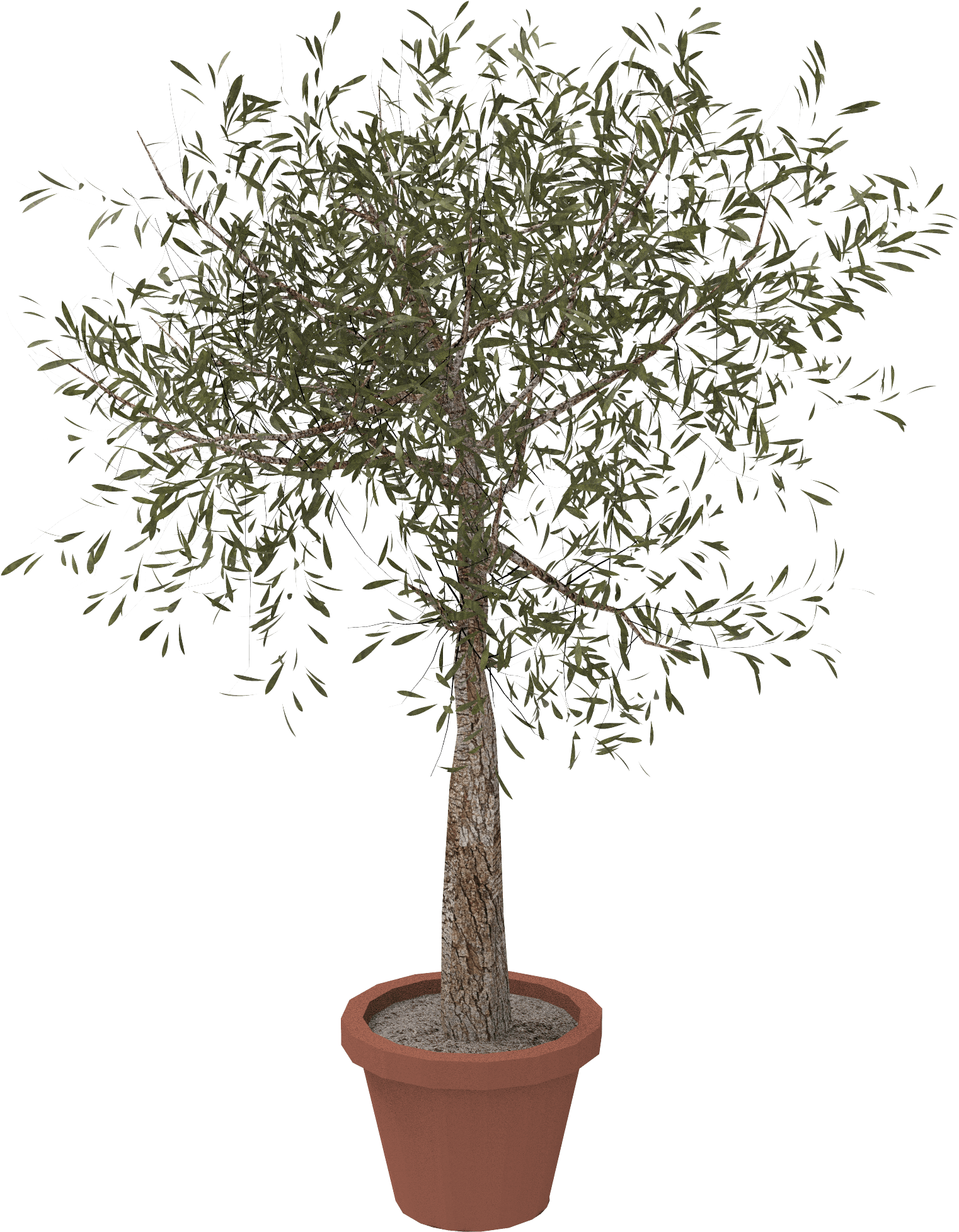 3 000016 P01 - Flowerpot (2560x2264), Png Download