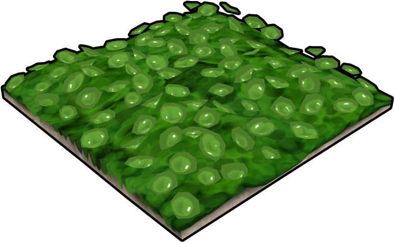 Green Flower Bed - Grass (920x920), Png Download