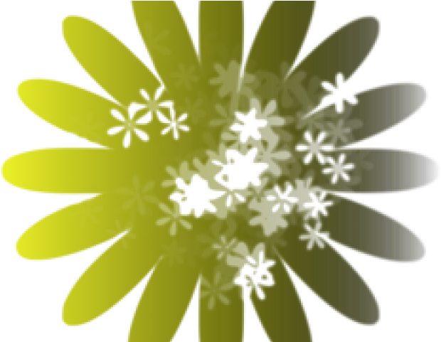 White Flower Clipart Margarita Flower - African Daisy (640x480), Png Download