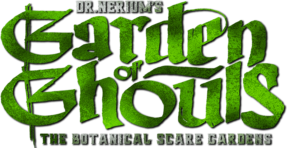 Graphics (1000x535), Png Download