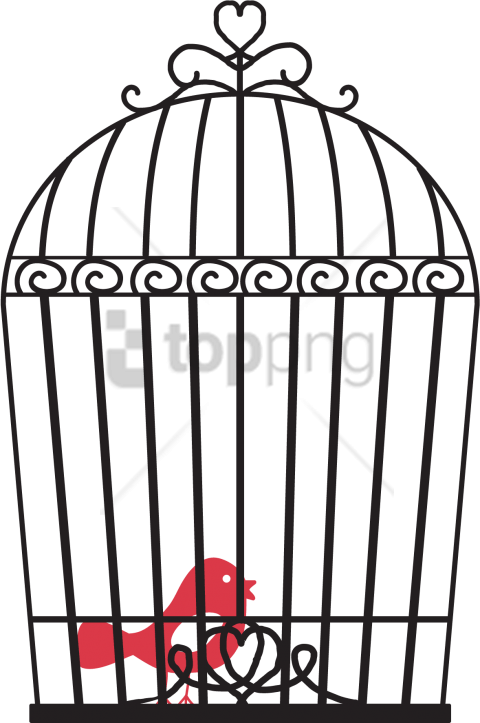 Free Png Download Bird Cage Png Images Background Png - Birdcage (480x723), Png Download