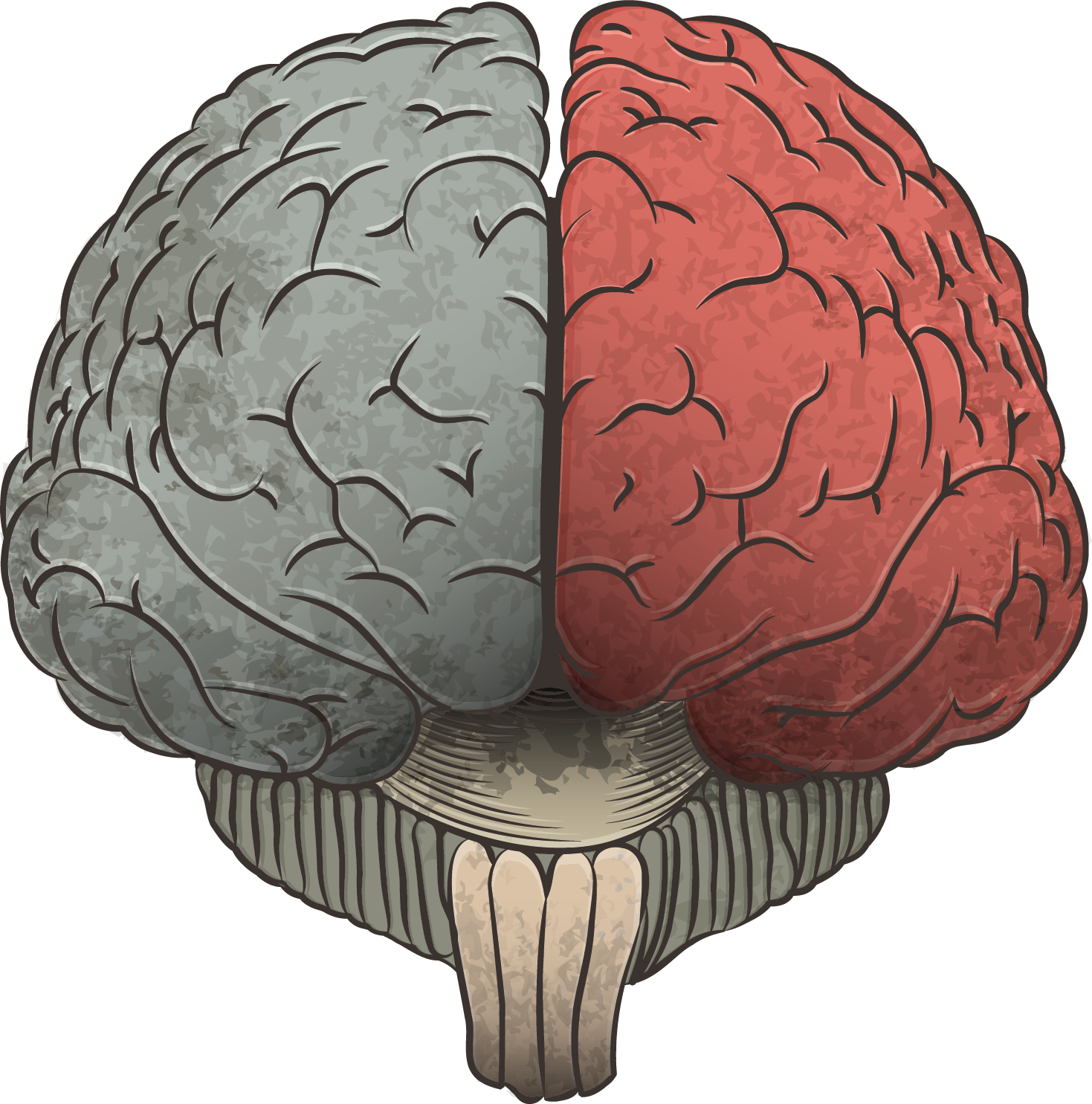 Subscribe To Our Brain & Learning Newsletter - Cerebro Sin Fondo Png (1469x1485), Png Download