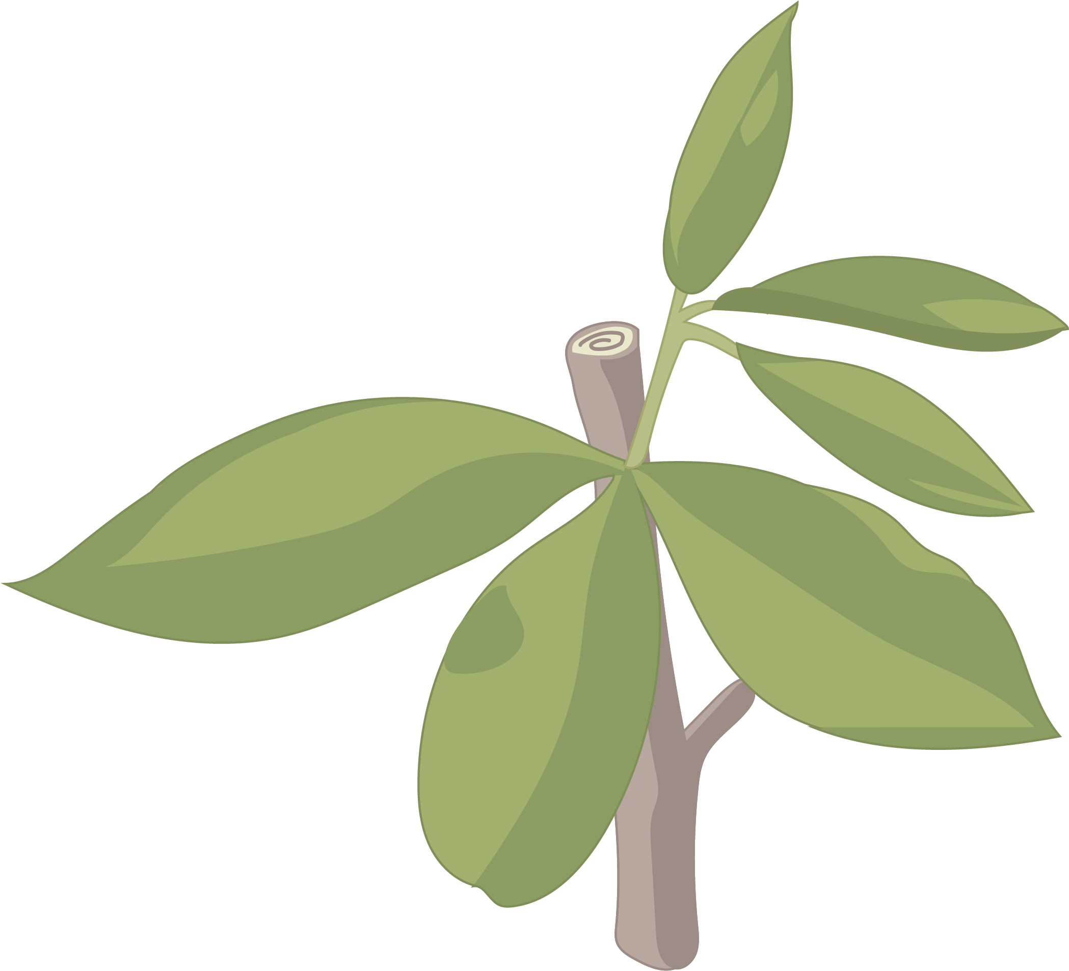 Escobón - Illustration (3508x2480), Png Download