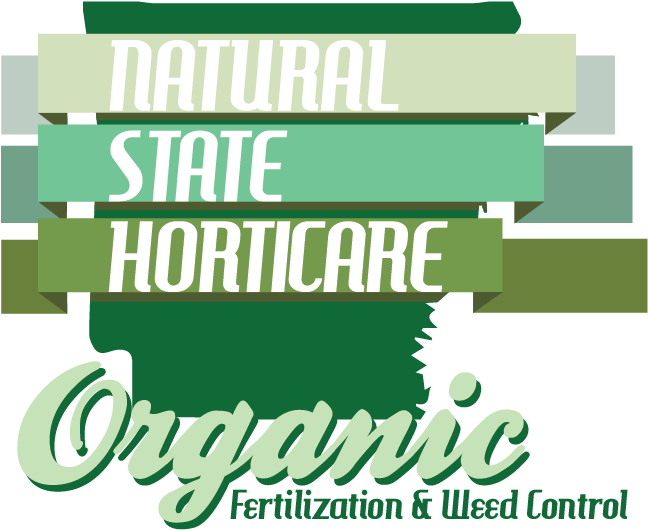 Graphic Design (647x558), Png Download