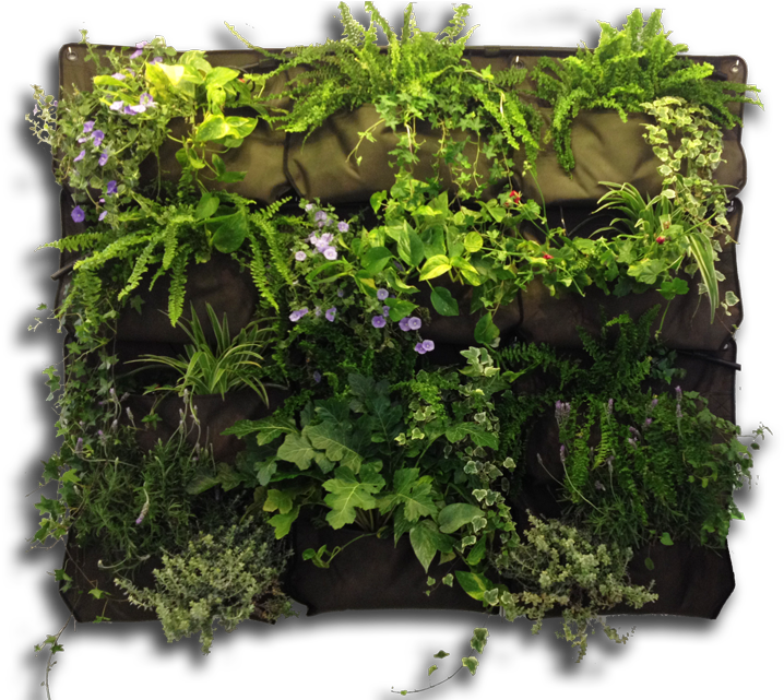 748 X 640 6 - Vertical Garden Transparent (748x640), Png Download