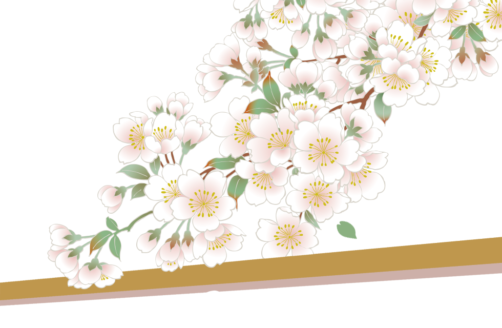 Cherry Blossom (980x640), Png Download