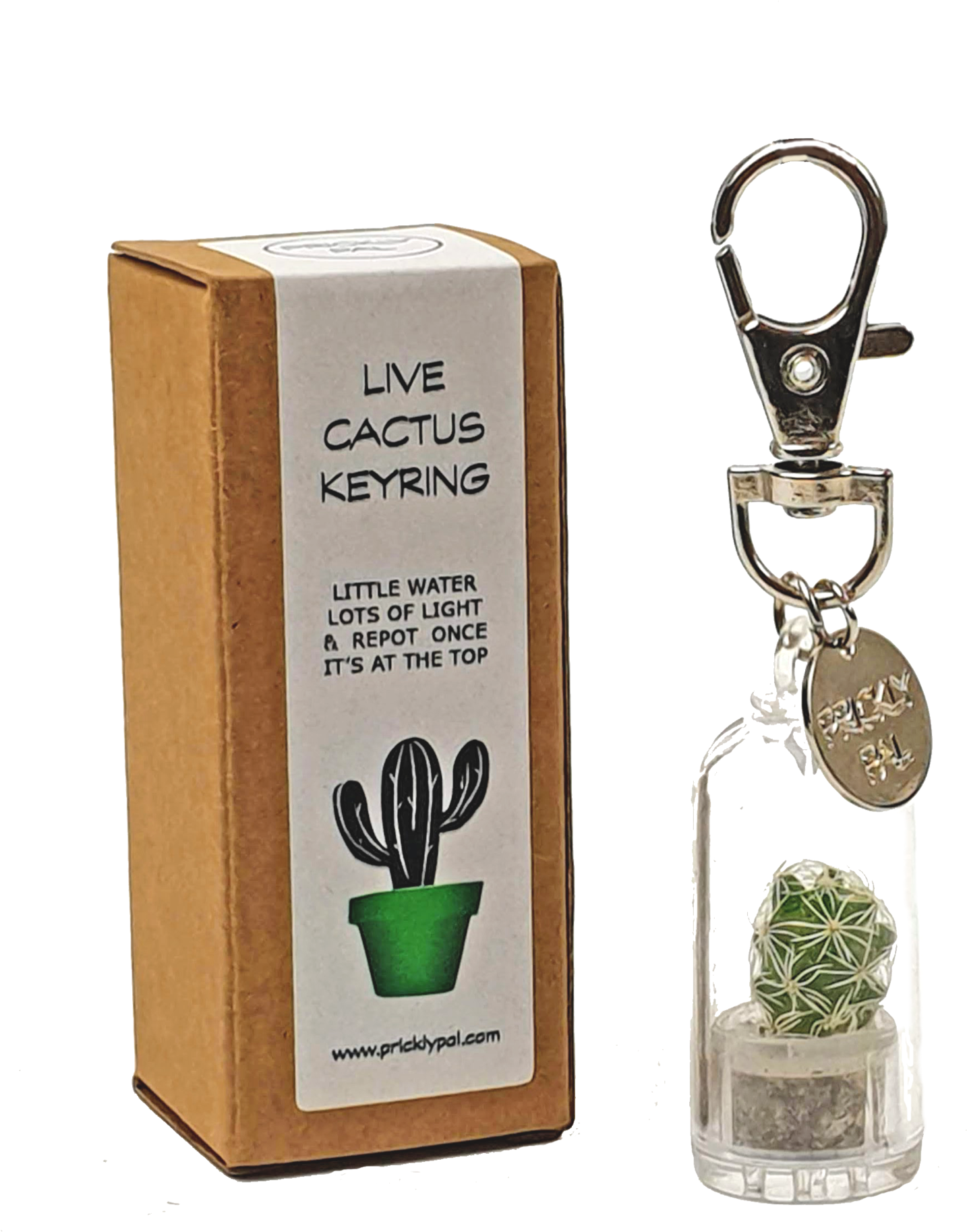 Cactus Keyrings - Cactus (2048x2048), Png Download