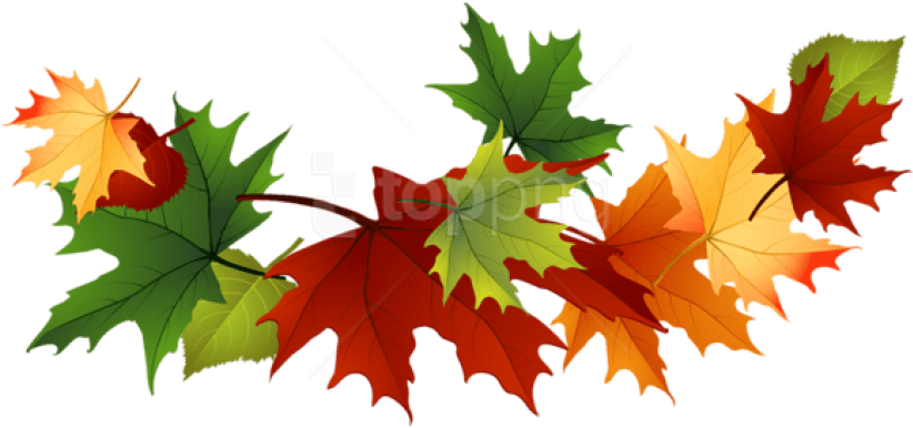 Free Png Download Fall Transparent Leaves Clipart Png - Transparent Fall Leaves Clip Art (850x431), Png Download