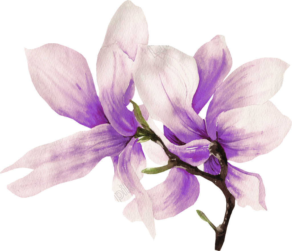 Hand Painted Flower Png Transparent Free (1024x881), Png Download