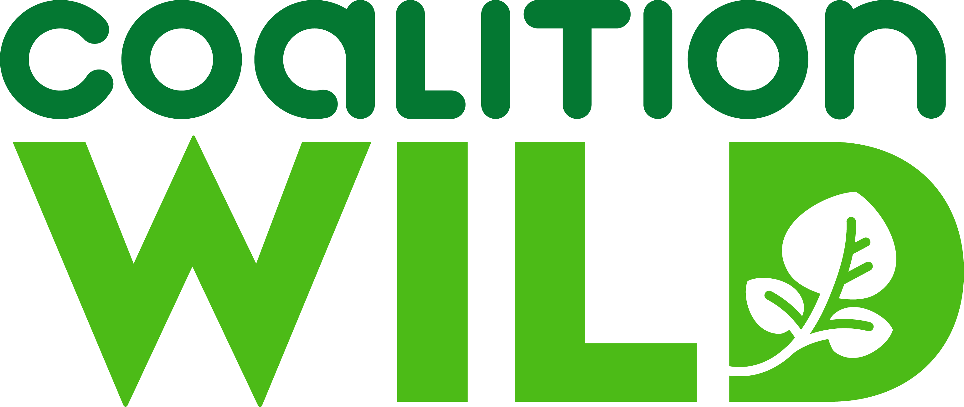 Cw Logo - Graphic Design (3079x1300), Png Download