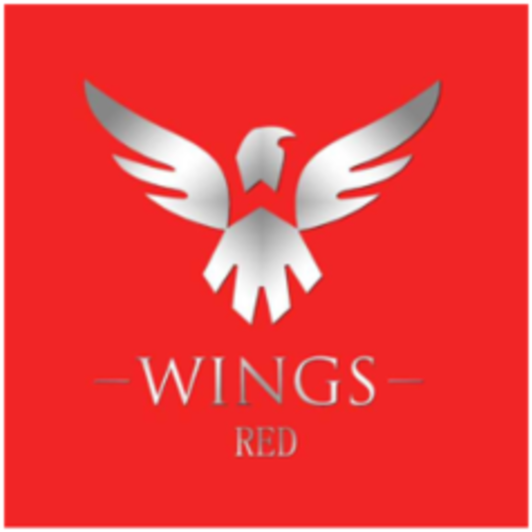 Wings Gaming (1200x1200), Png Download