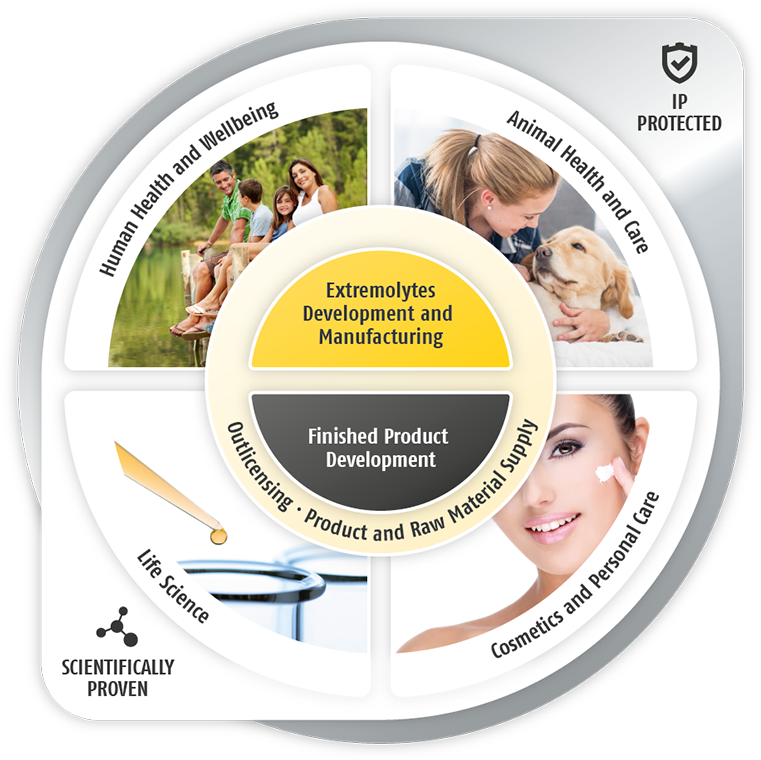 As Protective Agents, Extremolytes Shield Proteins, - Circle (1200x800), Png Download