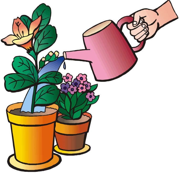 Watering Plants Clipart Png Water Plant Clipart Clipground - Please Water My Plants (750x724), Png Download