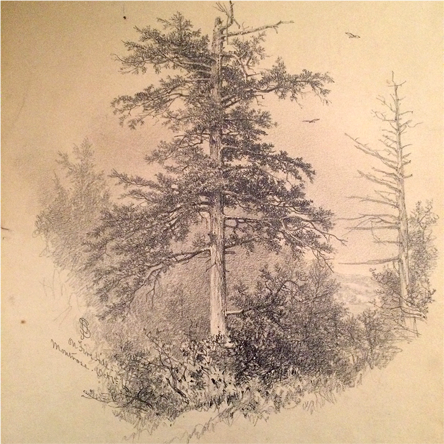 James D Smillie Hudson River Artist Drawing On Fire - Red Pine (1000x1000), Png Download