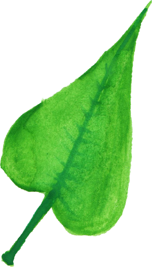 Free Download - Illustration (507x890), Png Download