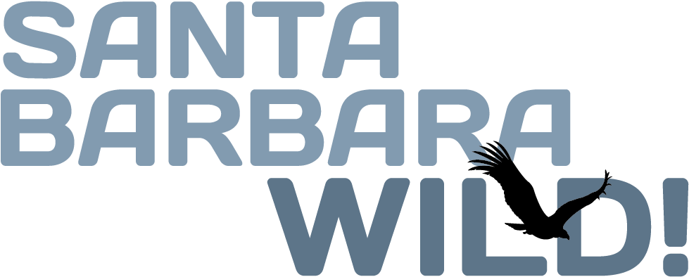 Events - Barth (1175x597), Png Download