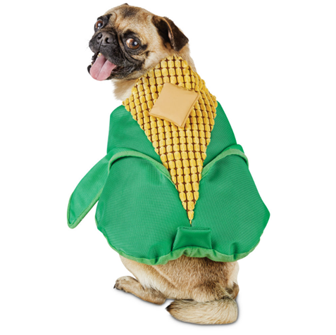 Corn On The Cob From $13 - Corn Cob Dog Costume (760x475), Png Download