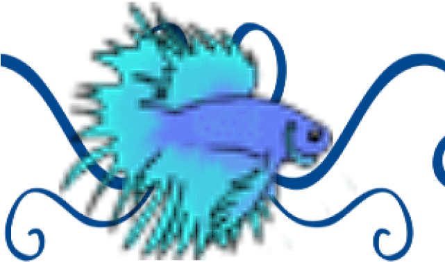 Calligraphy (640x480), Png Download