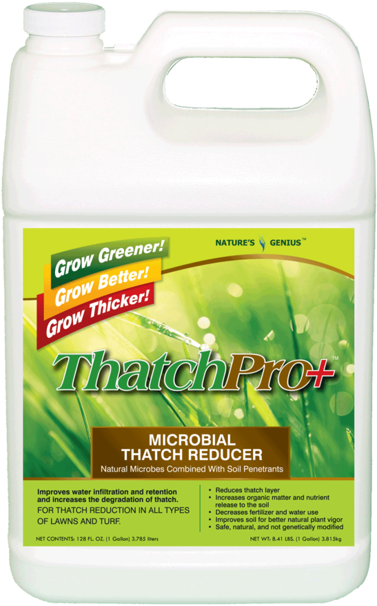 Thatchpro 1g Front (1000x1000), Png Download