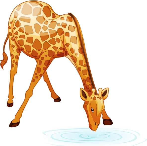 Giraffe Cartoon Animal Images - Cartoon Giraffe Bending Down (600x600), Png Download