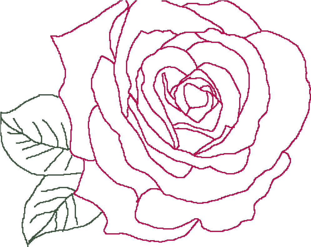 Garden Drawing Dead Flower - Floribunda (1000x800), Png Download