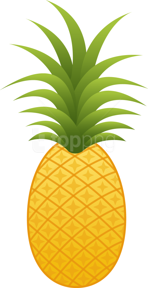 Free Png Download Pineapple Clipart Png Photo Png Images - Pineapple Clipart Png (480x930), Png Download