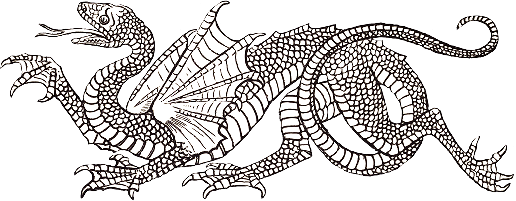 Cool Snake Dragon - Heraldic Dragon (1063x558), Png Download