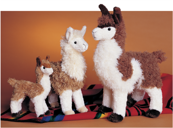 Douglas Lena Llama - Douglas The Llama (600x600), Png Download