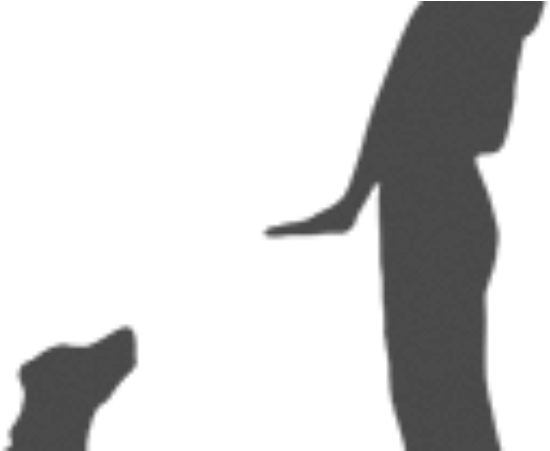 Hund Lydnad (864x450), Png Download