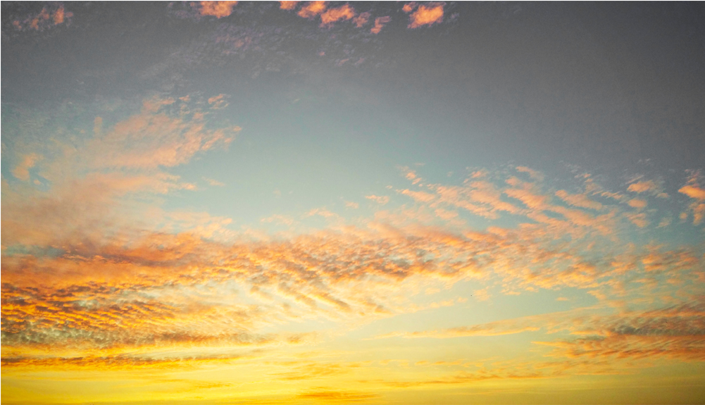 Score 50% - Painting (1000x1000), Png Download