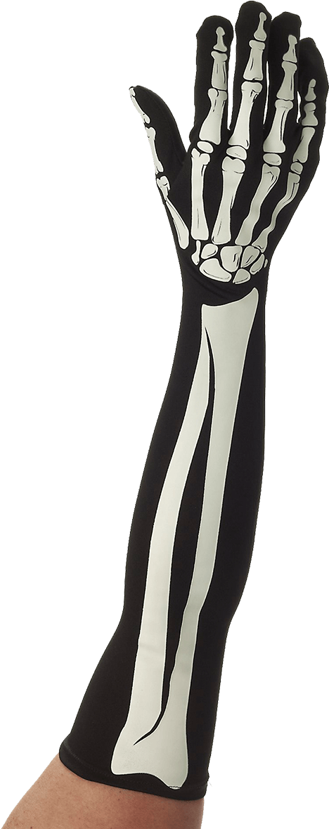 Long Skeleton Gloves - Womens Skeleton Gloves (800x1268), Png Download