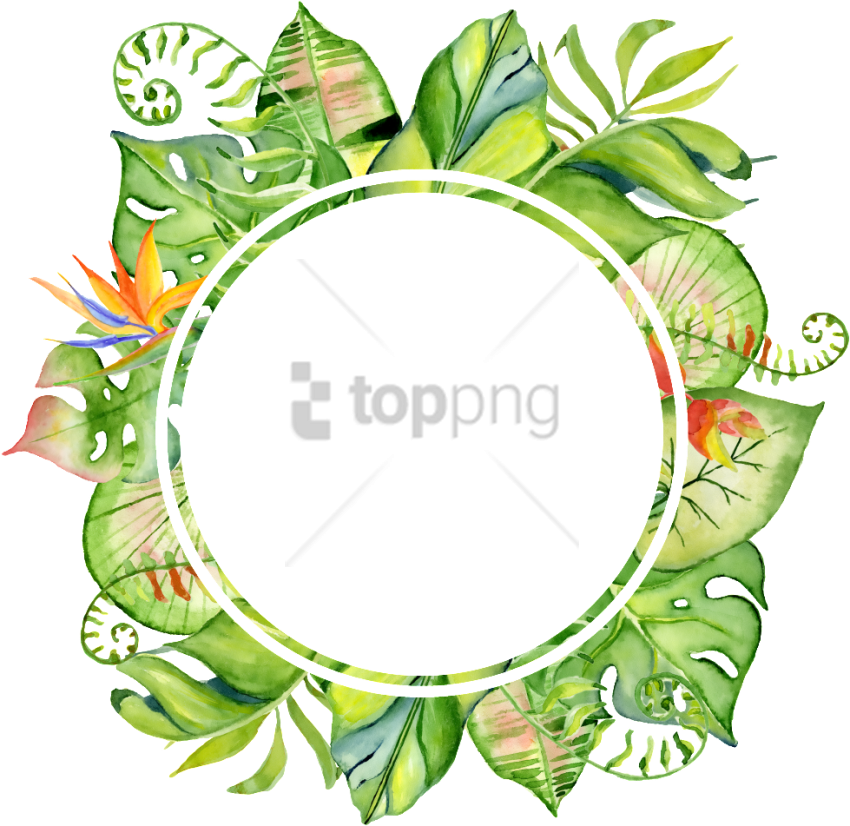 Download Hd Free Png Baby Shower Invitation Boho Tropical Png Image Leaves Frame Png Transparent Png Image Nicepng Com