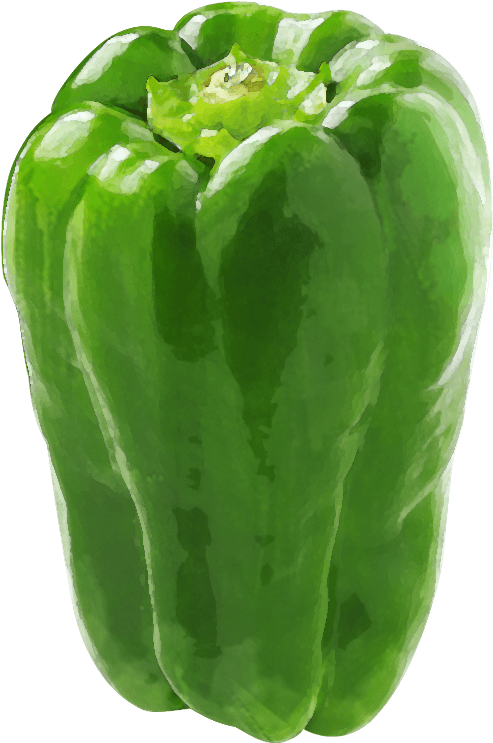 Greenpepper - Green Bell Pepper (800x800), Png Download