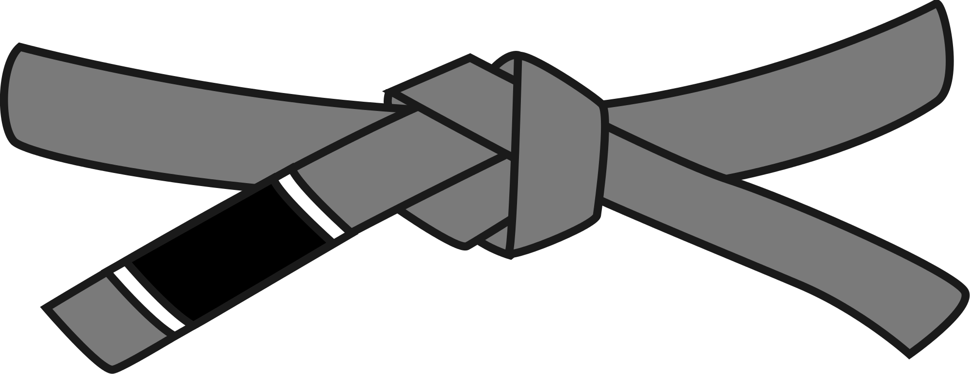 Related - Jiu Jitsu Green Belt (2000x772), Png Download