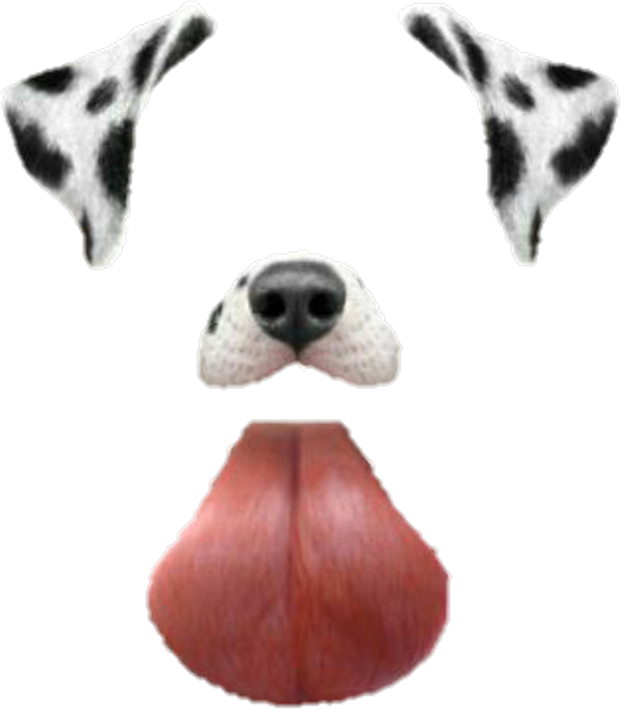 #snapchat #dog #filter - Transparent Snapchat Dog Filter (1024x1104), Png Download