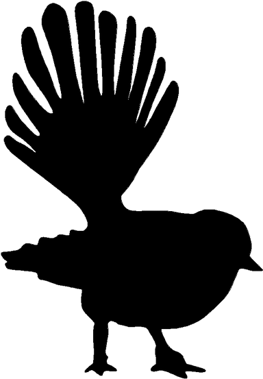 Rocky Ridge Cottage - New Zealand Bird Silhouette (800x565), Png Download