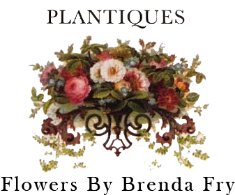 Store Logo (420x357), Png Download