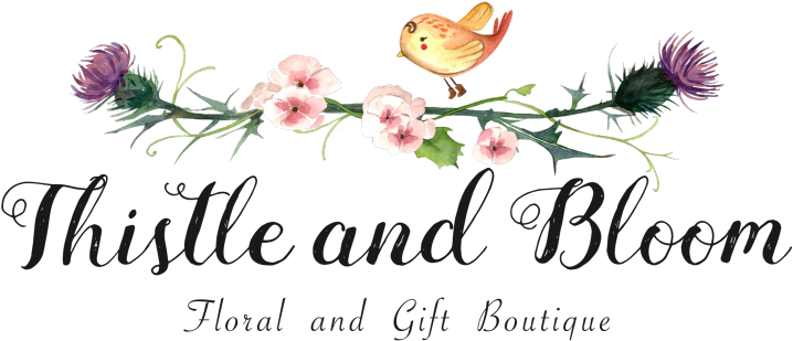 Store Logo Store Logo (800x605), Png Download