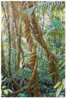 Madidi National Park (400x400), Png Download