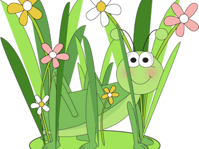 Grass Clipart Baby - Grasshopper With Grass Clipart (640x480), Png Download