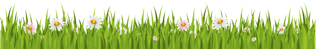 Png Transparente Para Floral Ornamental Grass - Cartoon Grass White Background (1024x766), Png Download