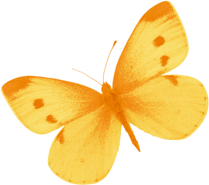Yellow Butterfly Png By Heemipetal - Butterfly Yellow Watercolor Png (800x733), Png Download
