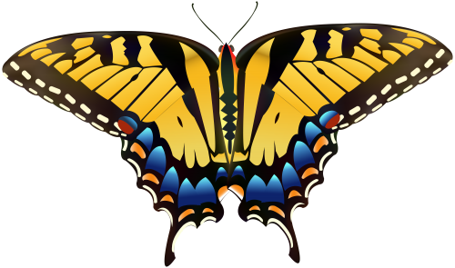 Yellow Butterfly Png Clip Art - Yellow Butterfly Png (500x295), Png Download