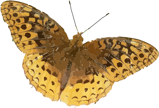Yellow Butterfly Png Download - Indiana Butterfly Identification (566x385), Png Download